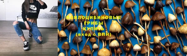 ECSTASY Володарск