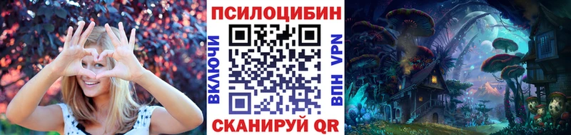 дарнет шоп  Чистополь  Псилоцибиновые грибы мухоморы 